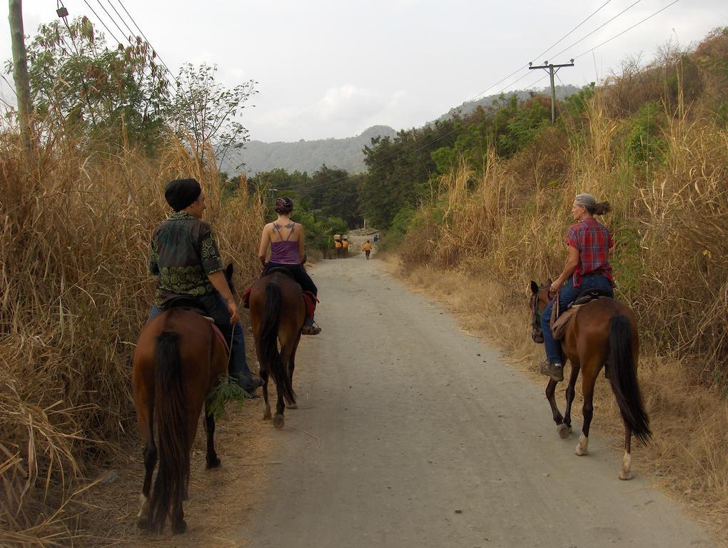 The Green Ranch Hotel Kumasi Ngoại thất bức ảnh
